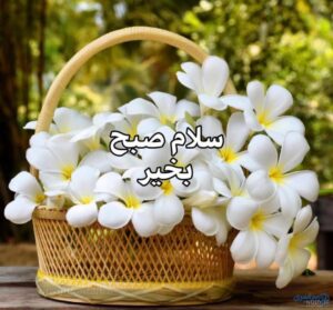 عکس صبح بخیر