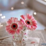 عکس پروفایل شیک