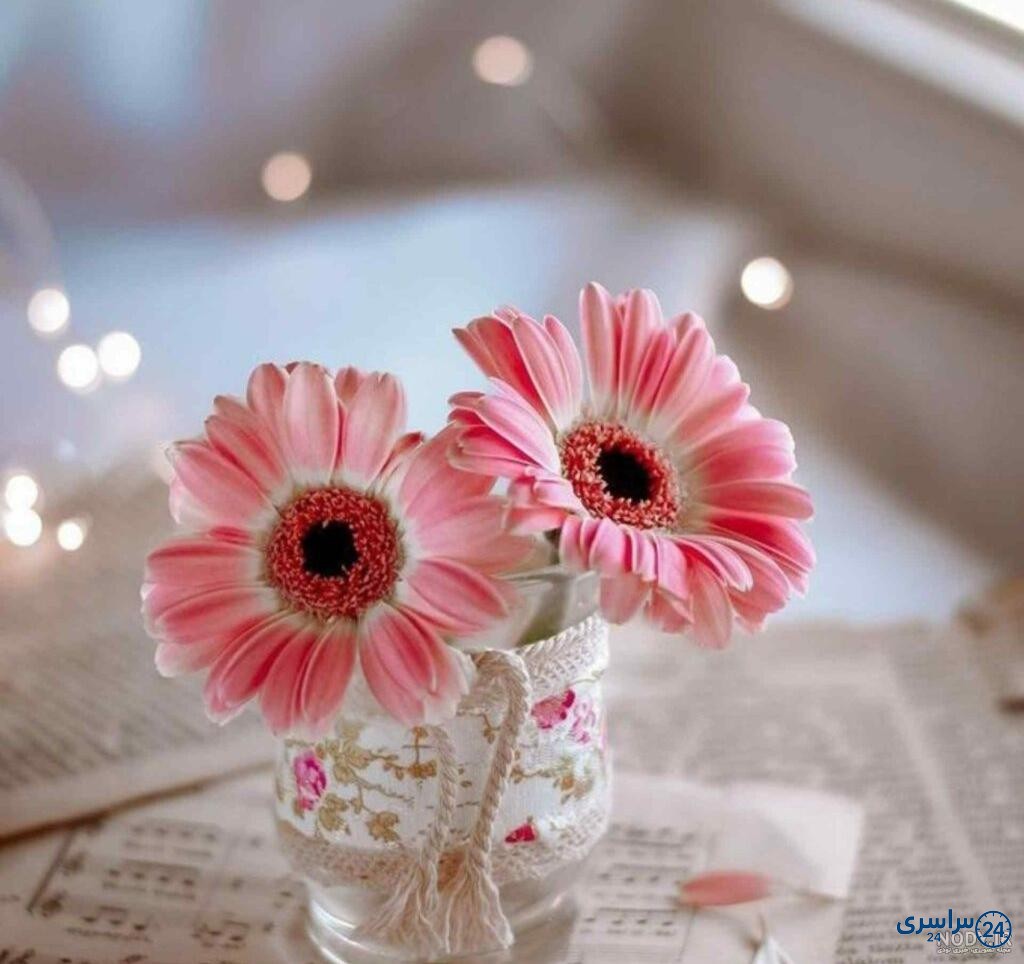عکس پروفایل شیک