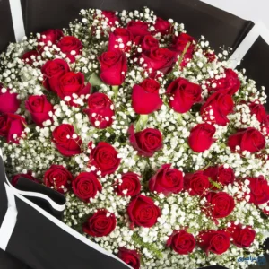 عکس گل بزرگ