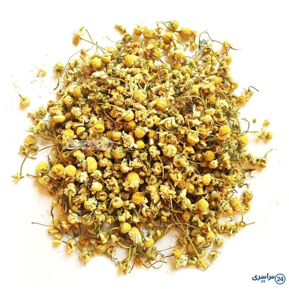 عکس گل بابونه خشک