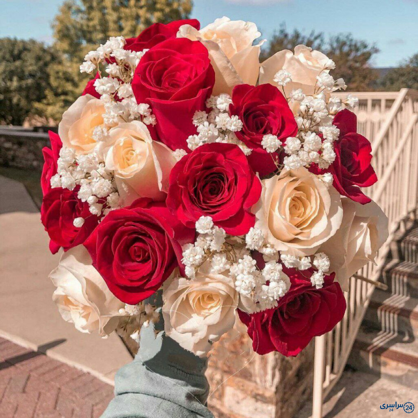 عکس گل از تاو بیو