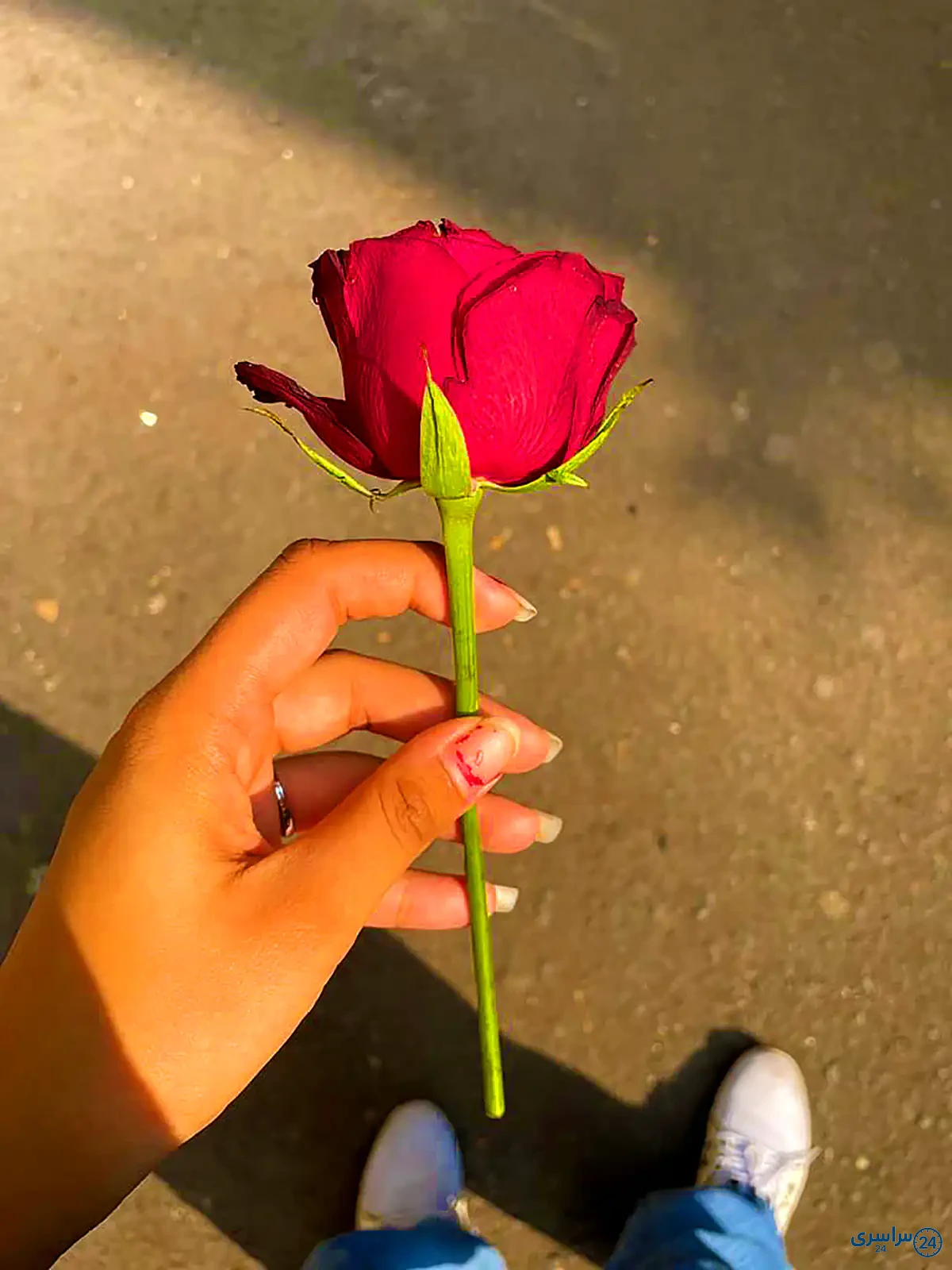 عکس گل در دست دختر طبیعی