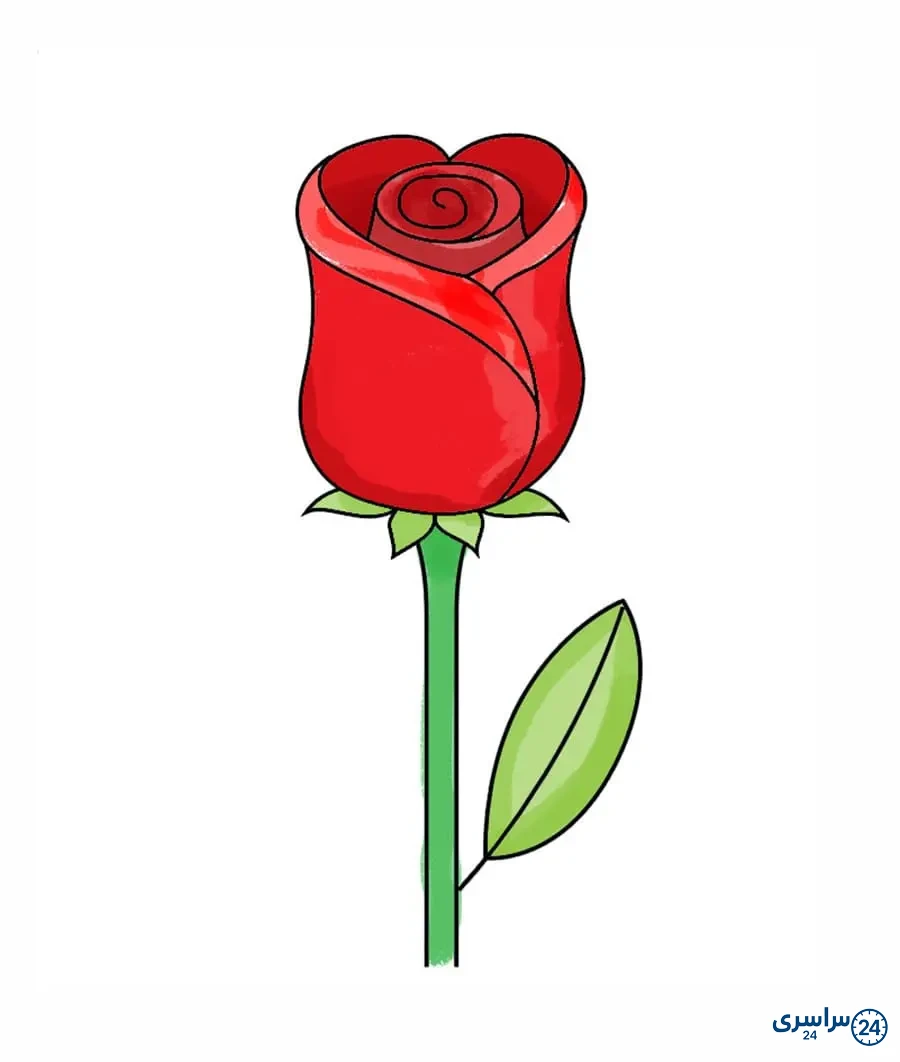 عکس آموزش نقاشی گل رز