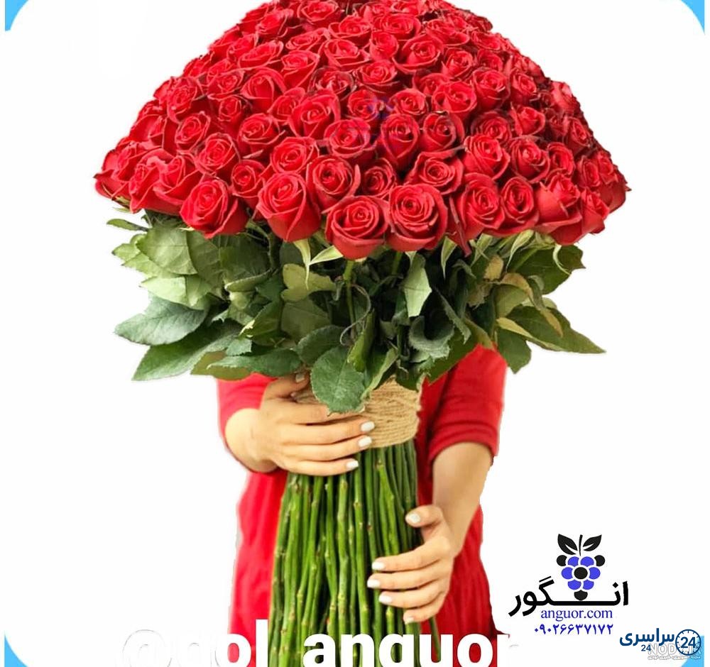 عکس گل بزرگ
