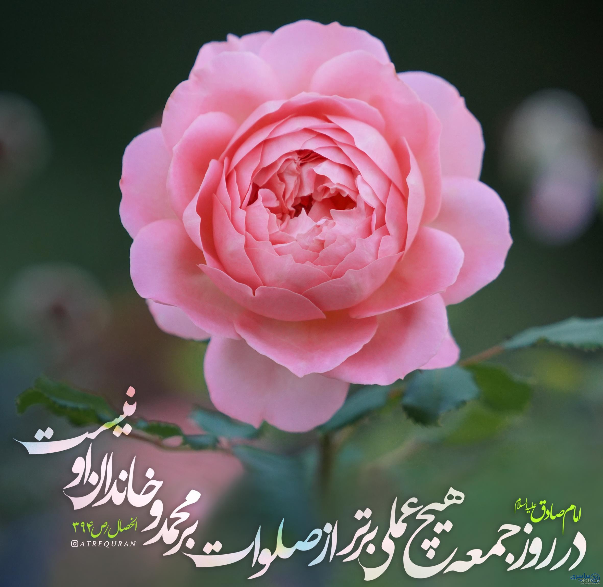 عکس صلوات