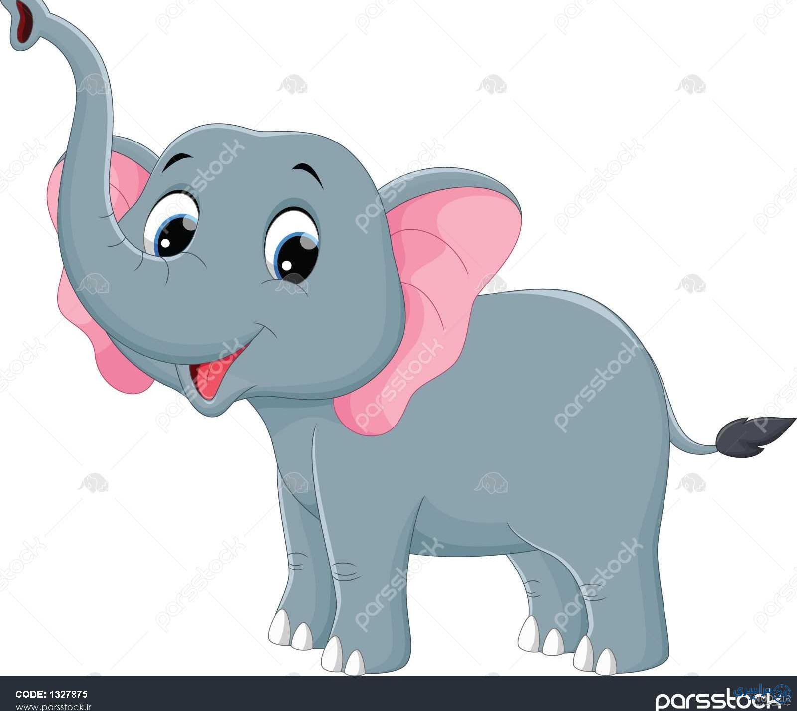 عکس فیل