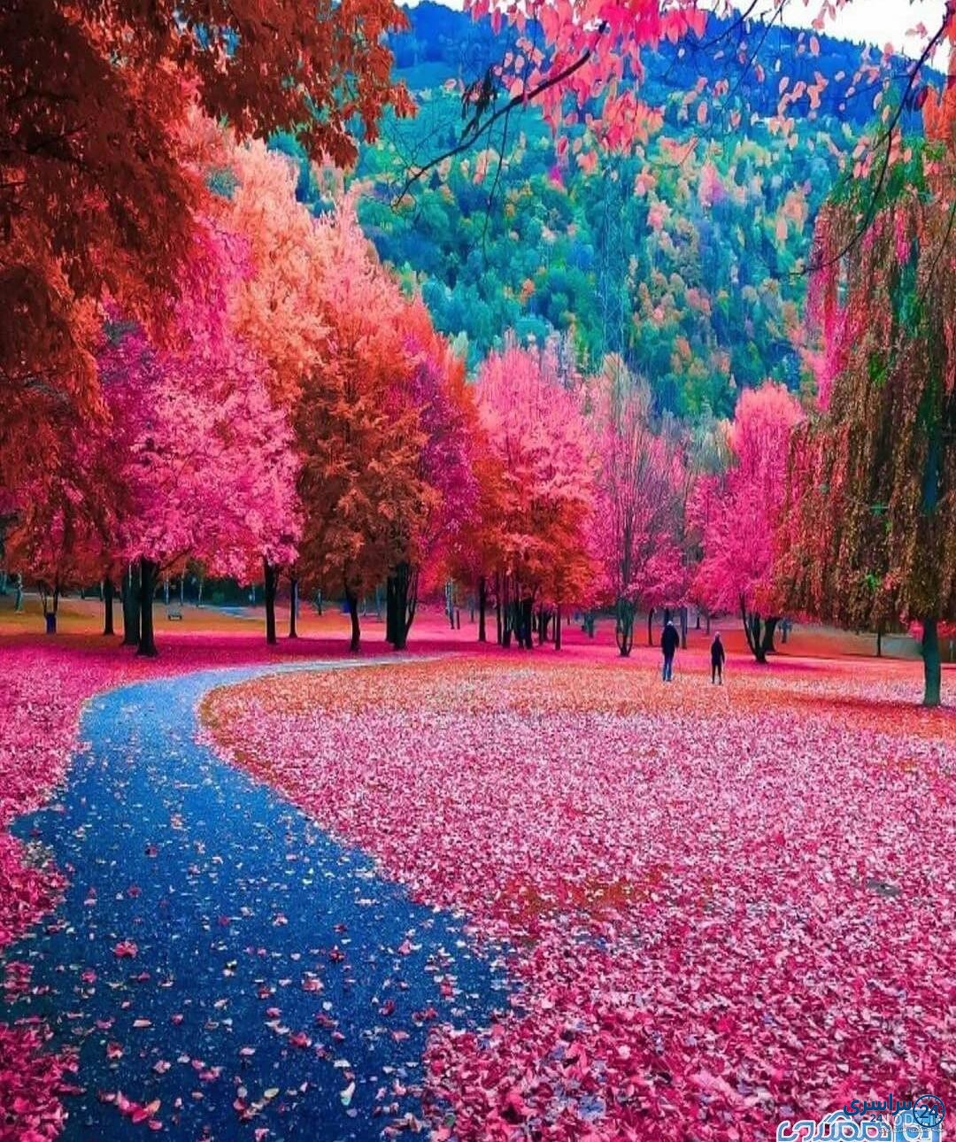 عکس طبیعت زیبا