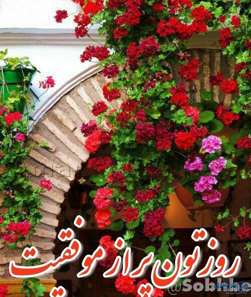 عکس ظهر بخیر