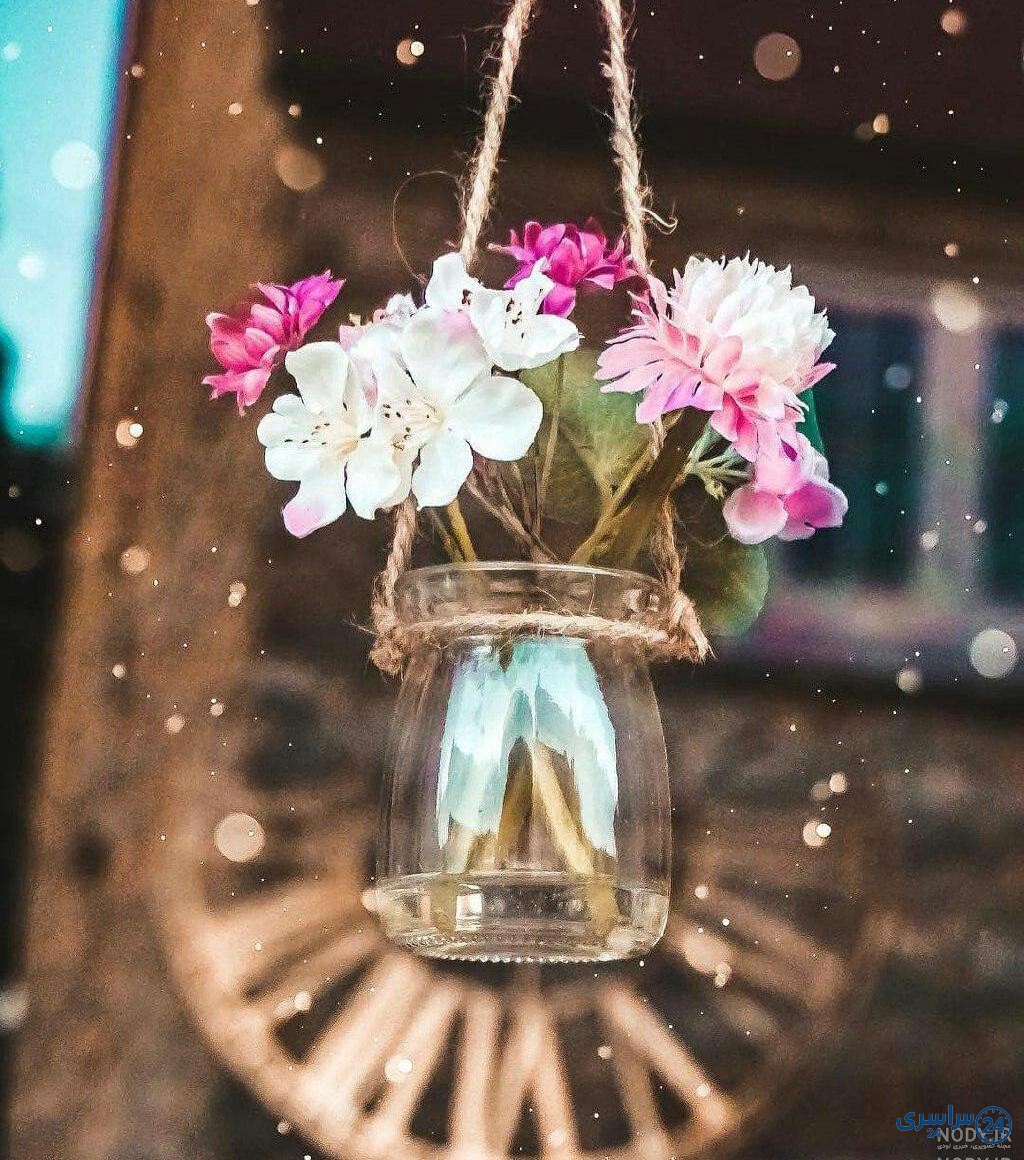 عکس از گل زیبا