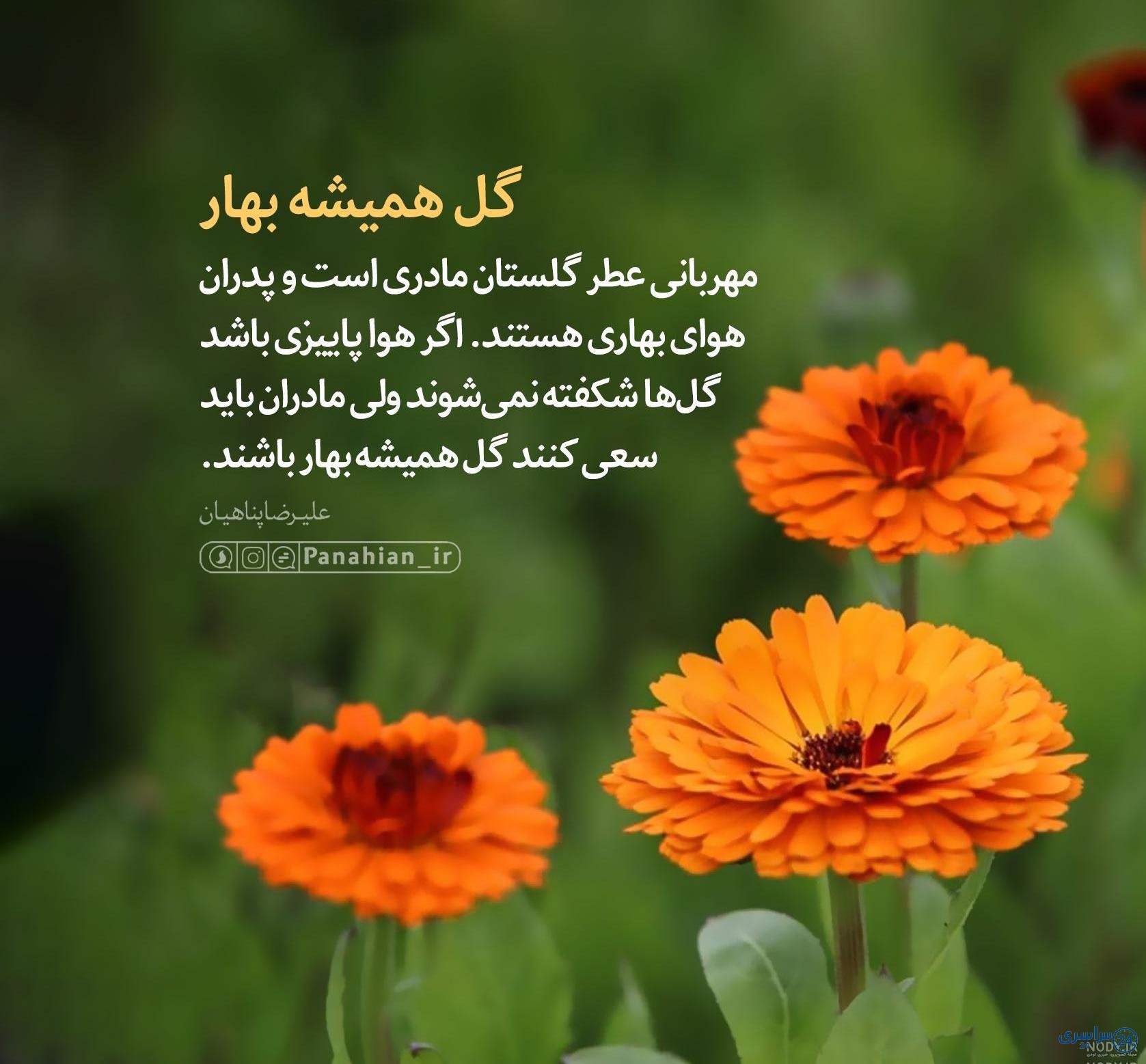 پروفایل عکس نوشته بهاری