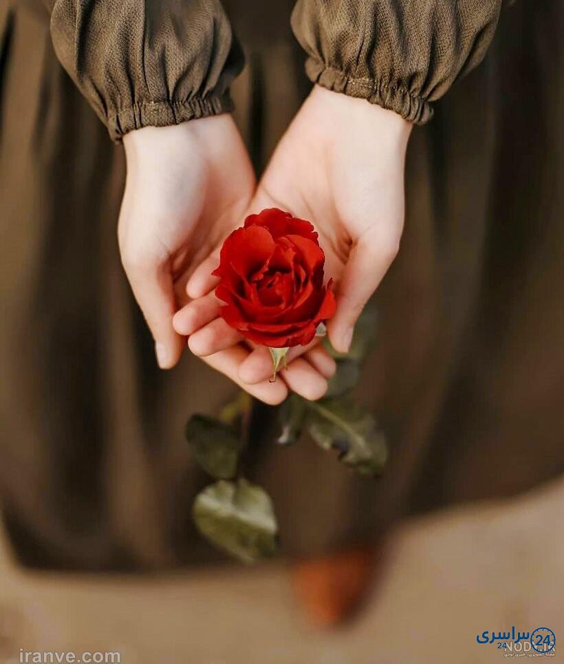 عکس پروفایل گل