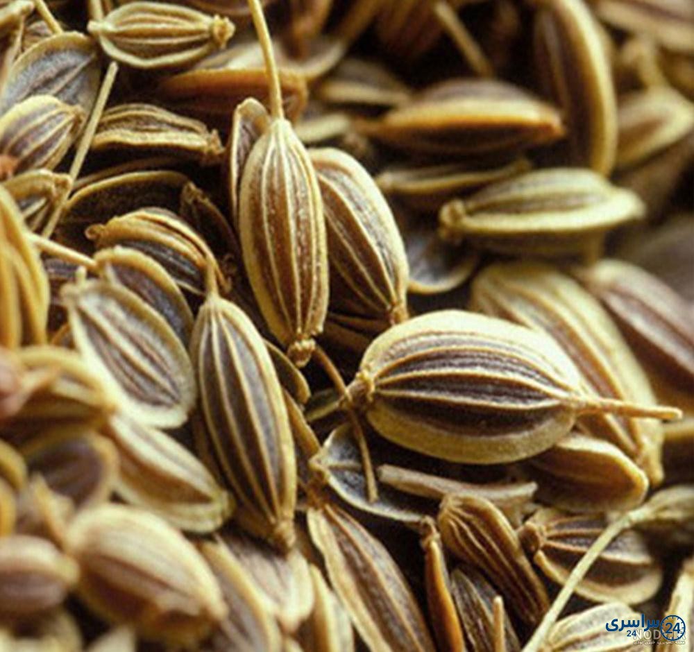 عکس زنیان