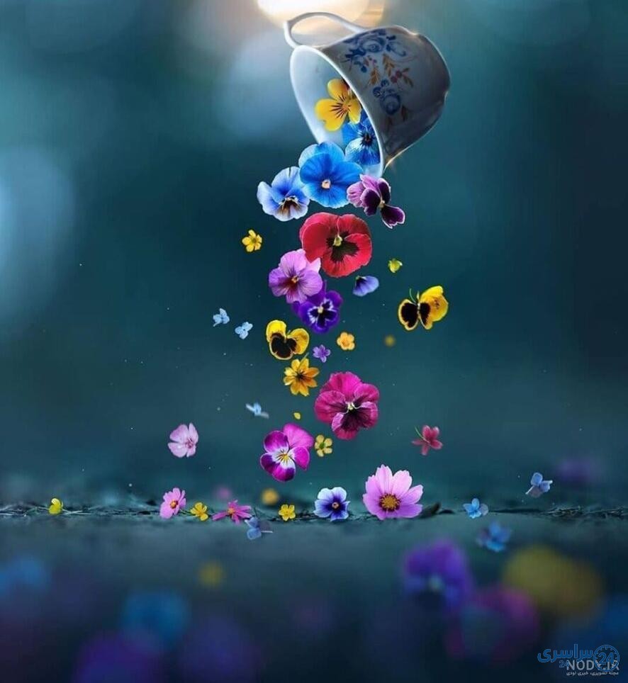 عکس گل برای پروفایل واتساپ