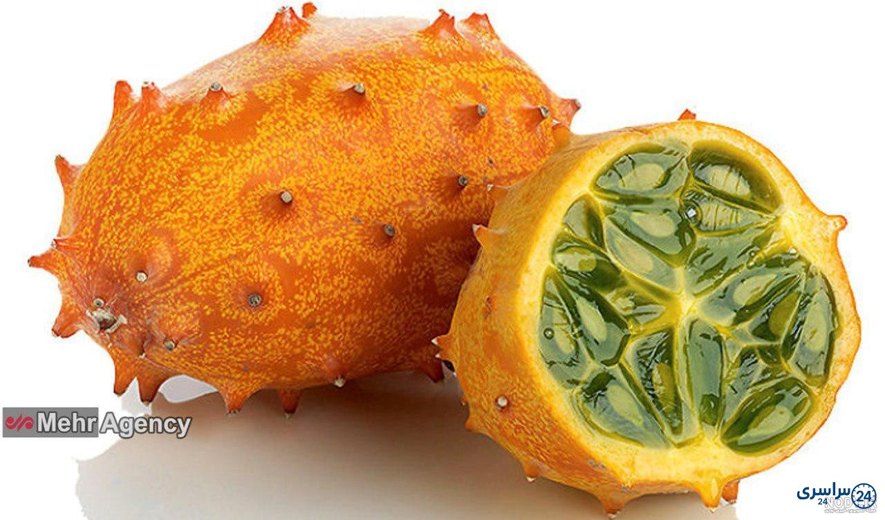 عکس طالبی
