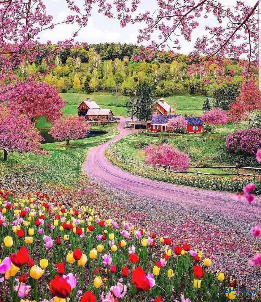 عکس طبیعت برای پروفایل