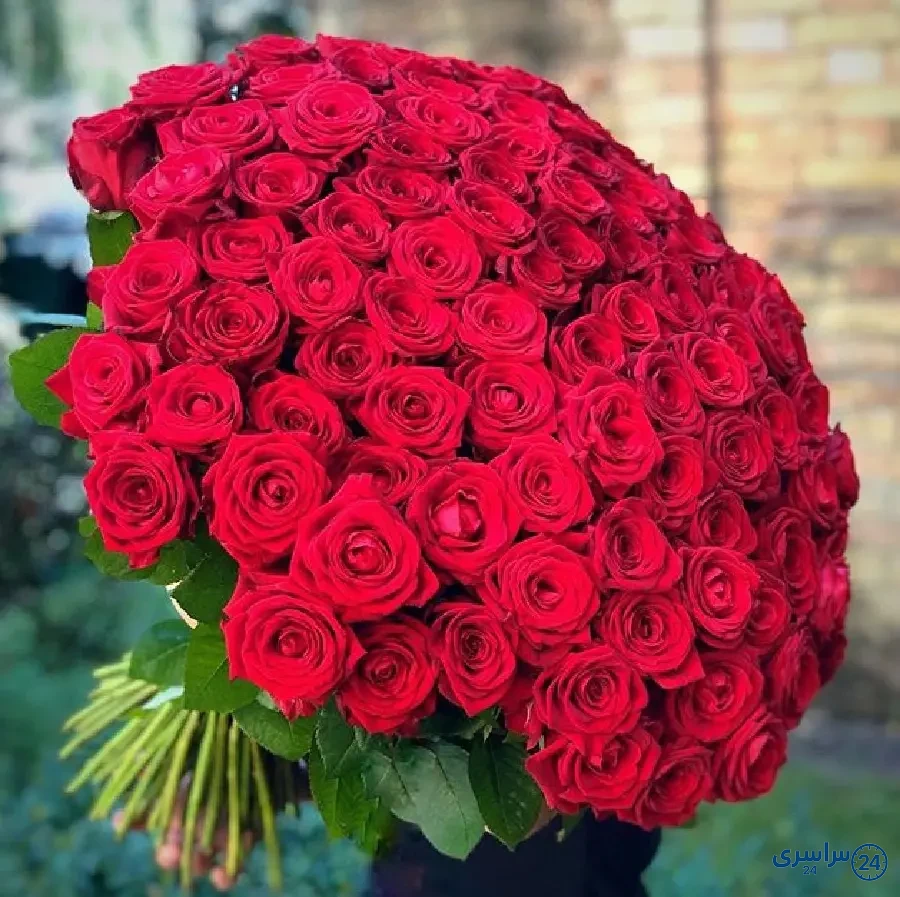 عکس گل زیبا