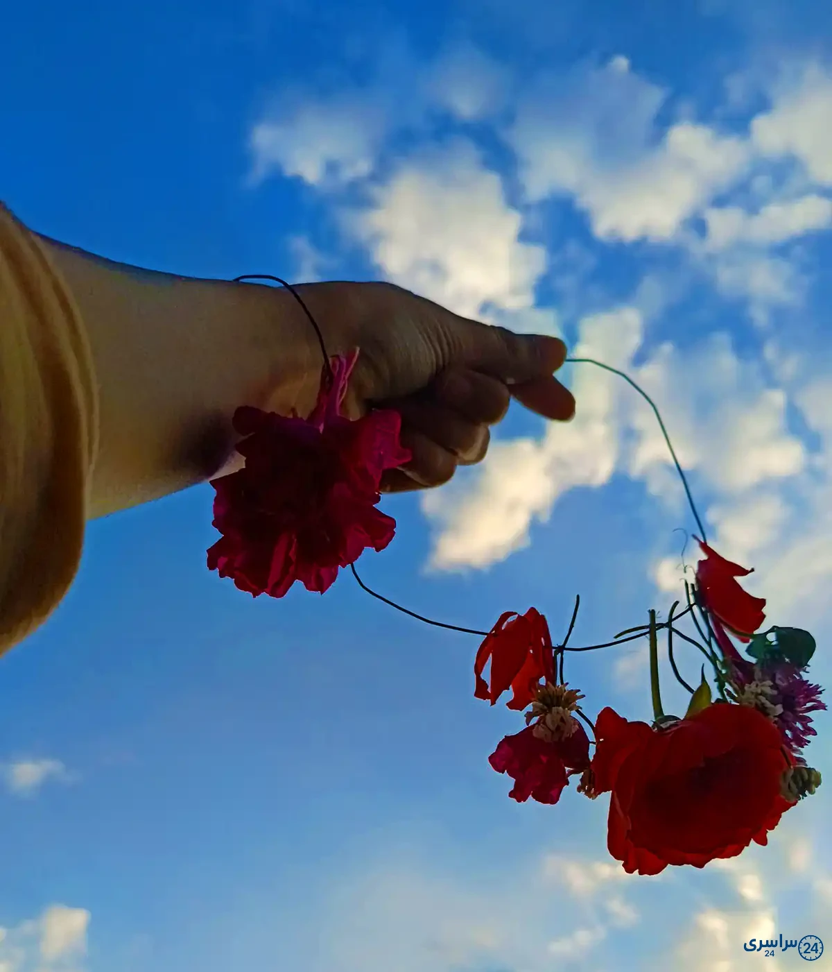 عکس گل برای پروفایل شاد دخترونه جدید