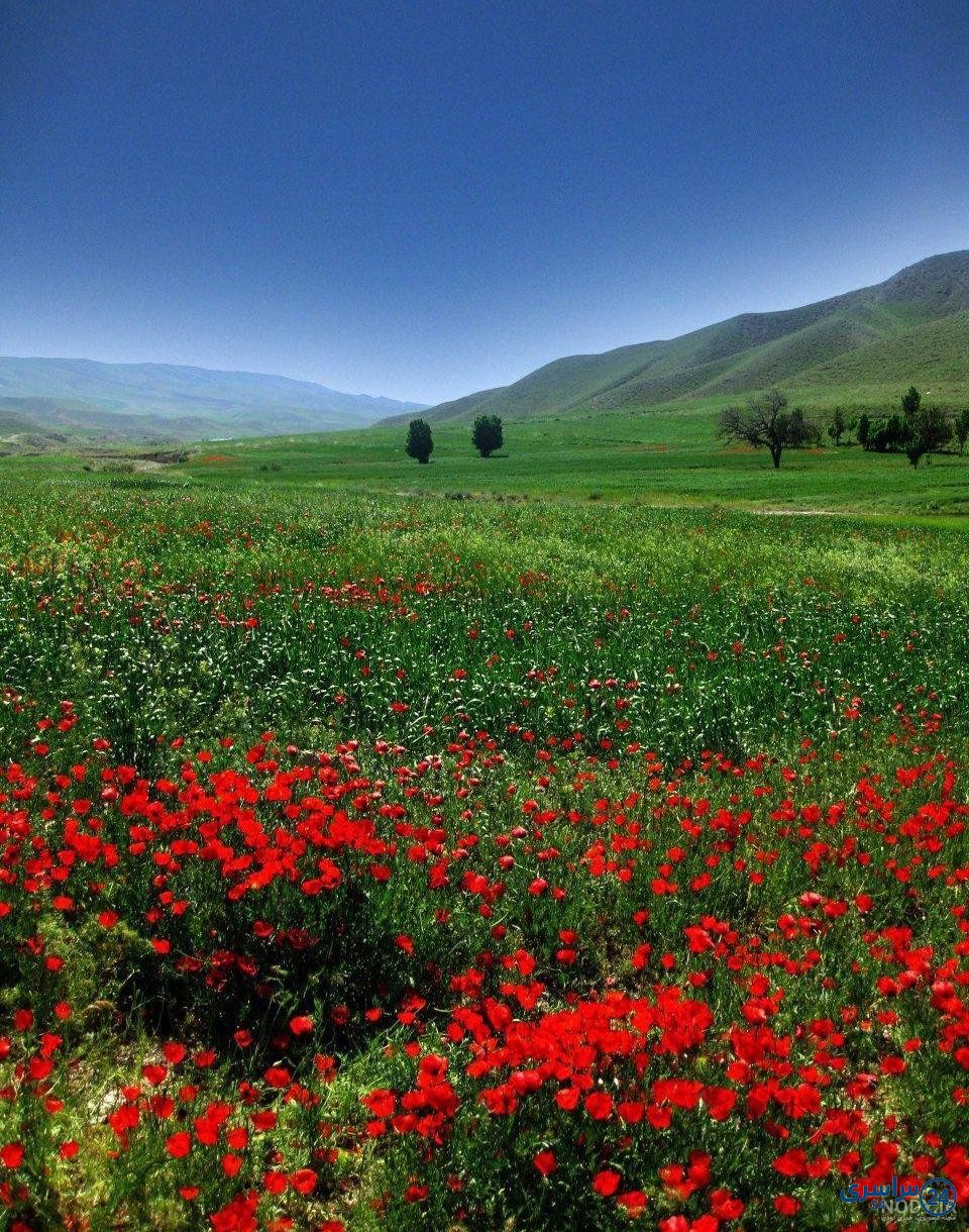 عکس طبیعت زیبا