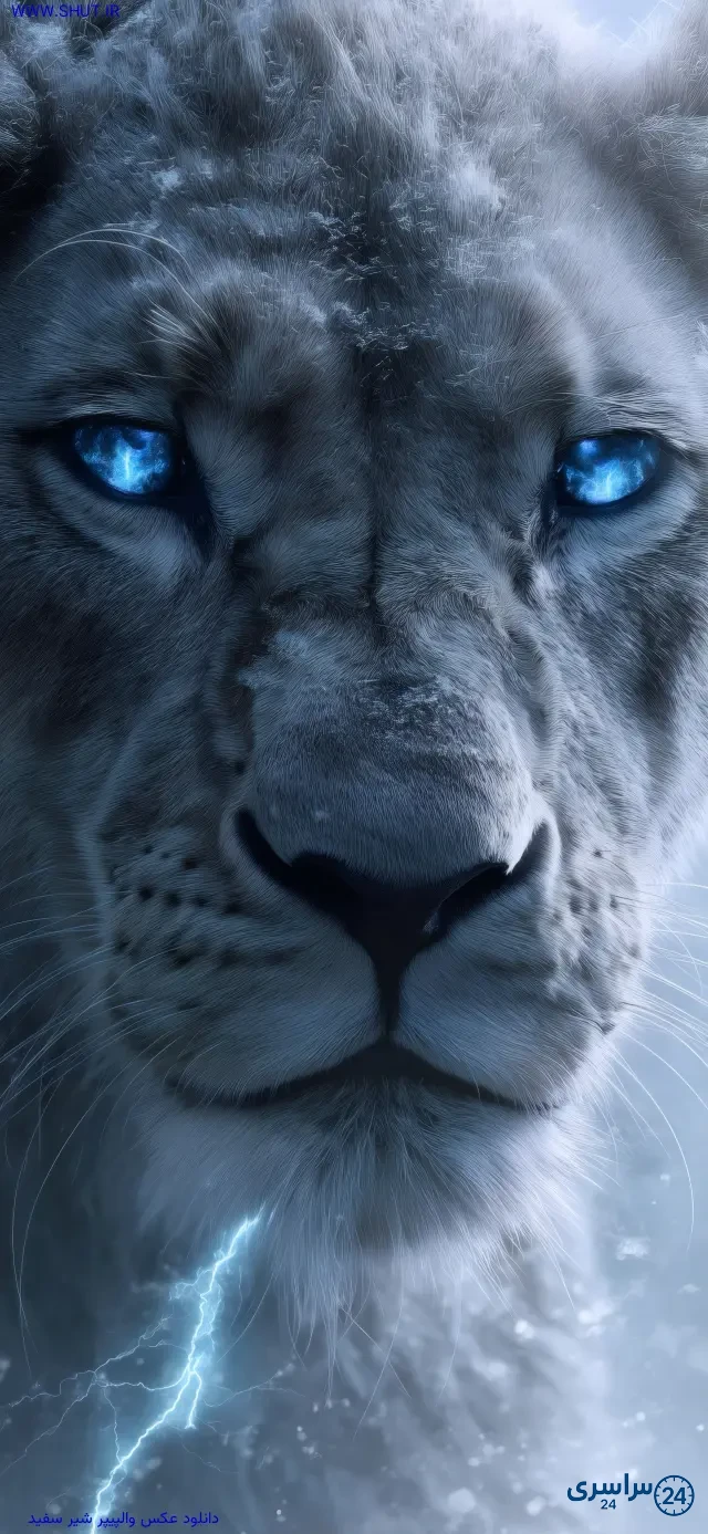 عکس شیر