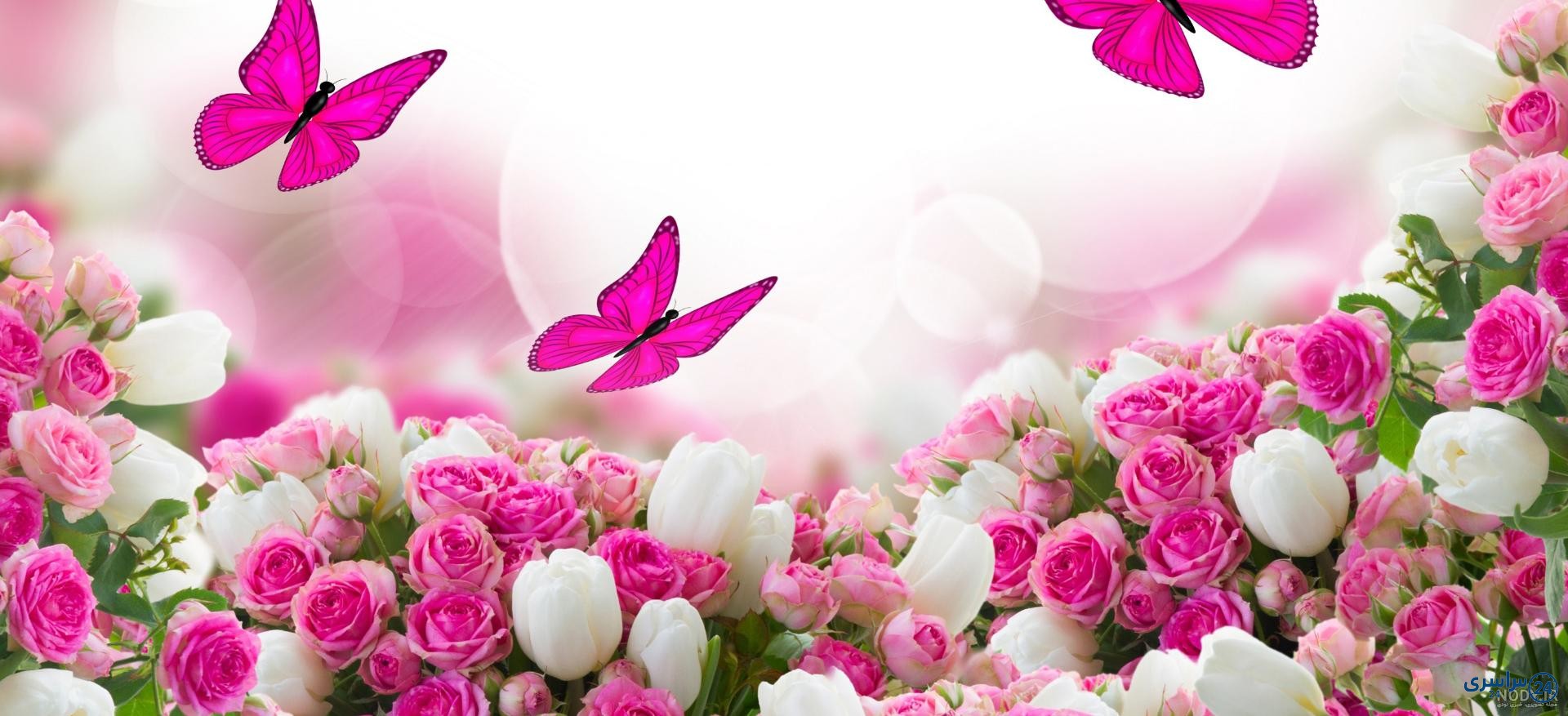 عکس گل برای پروفایل شاد