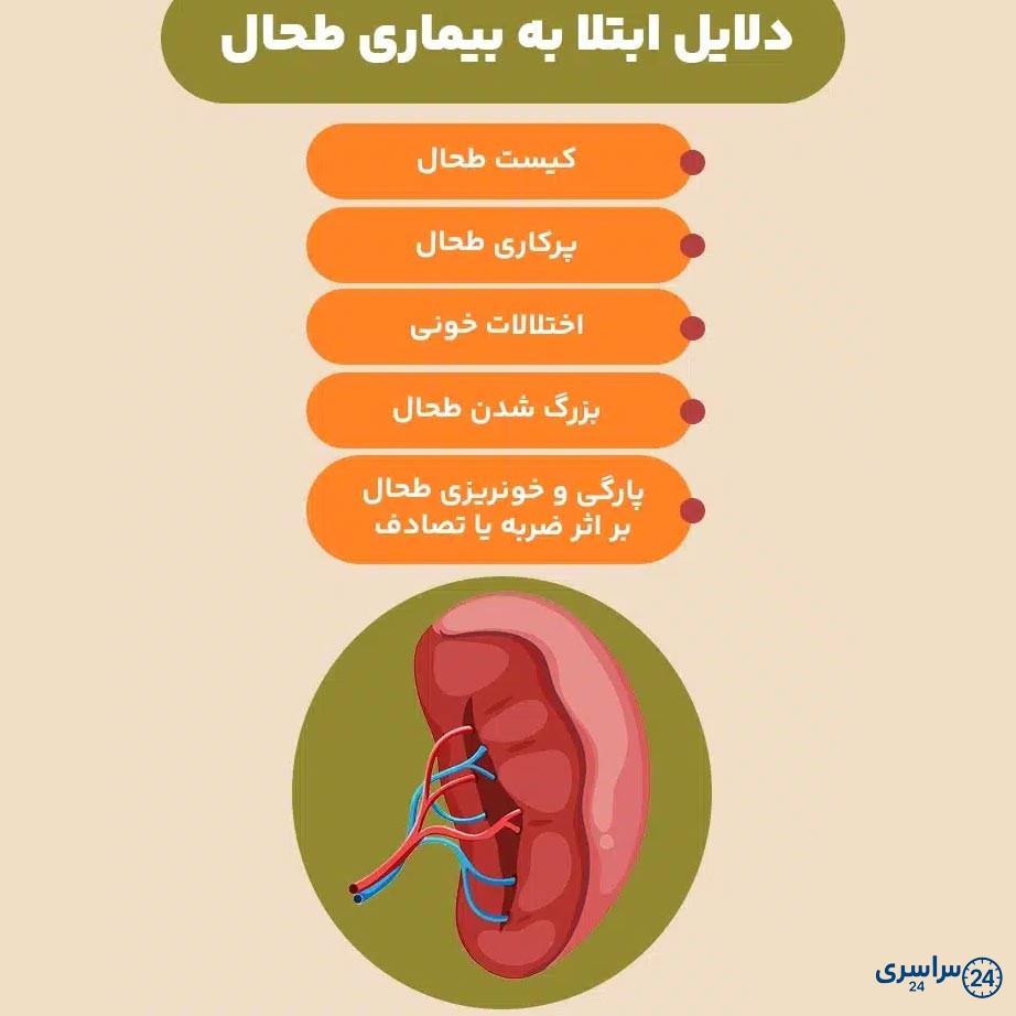 عکس طحال