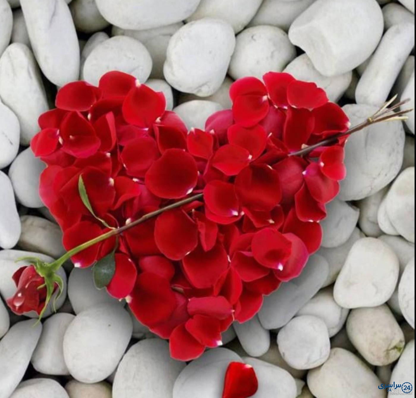 عکس قلب
