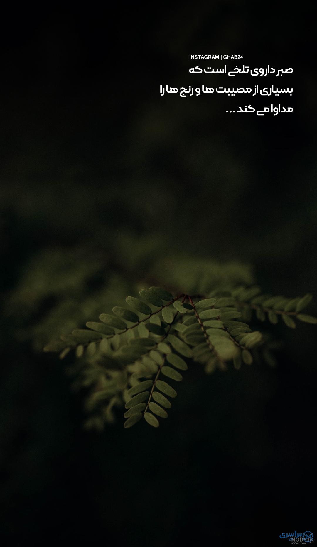 عکس صبر