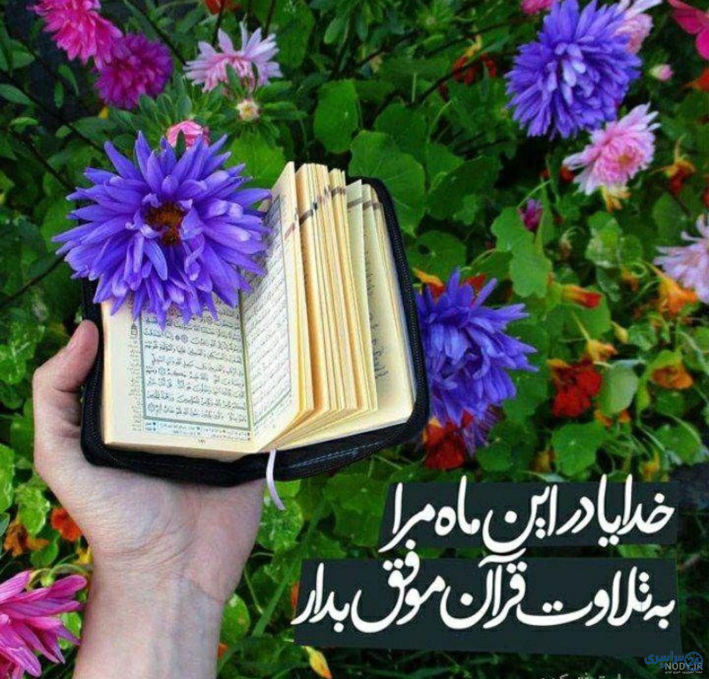 عکس گل از تاو بیو