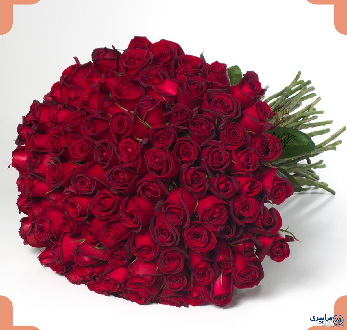 عکس گل بزرگ