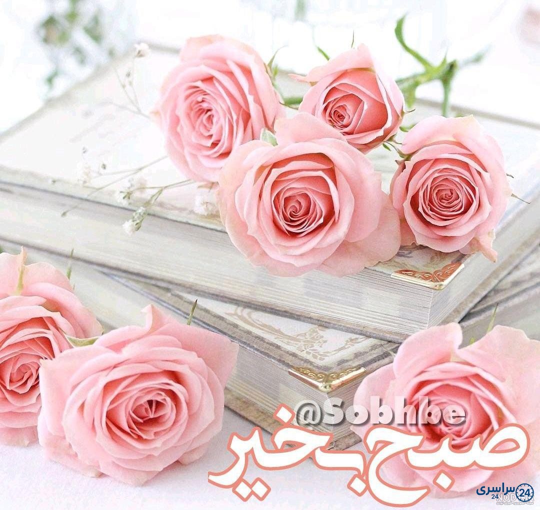 عکس صبح بخیر