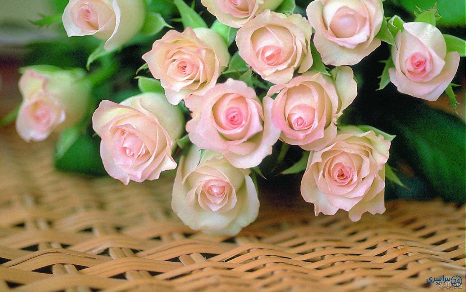 عکس های زیبا از گل