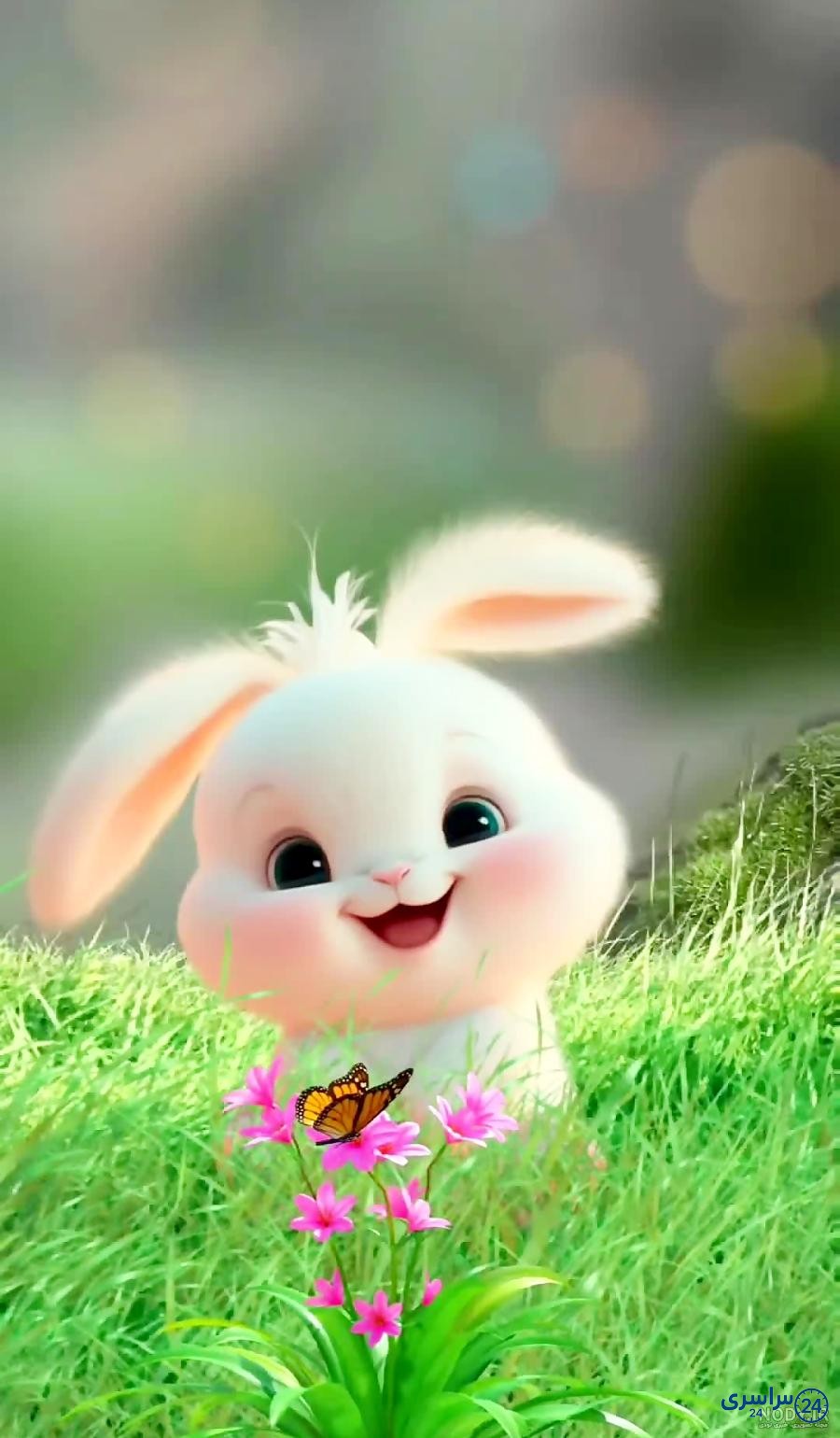 عکس خرگوش