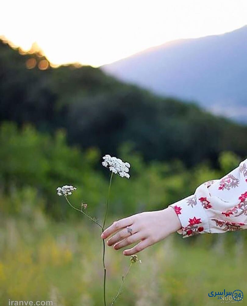 عکس طبیعت برای پروفایل