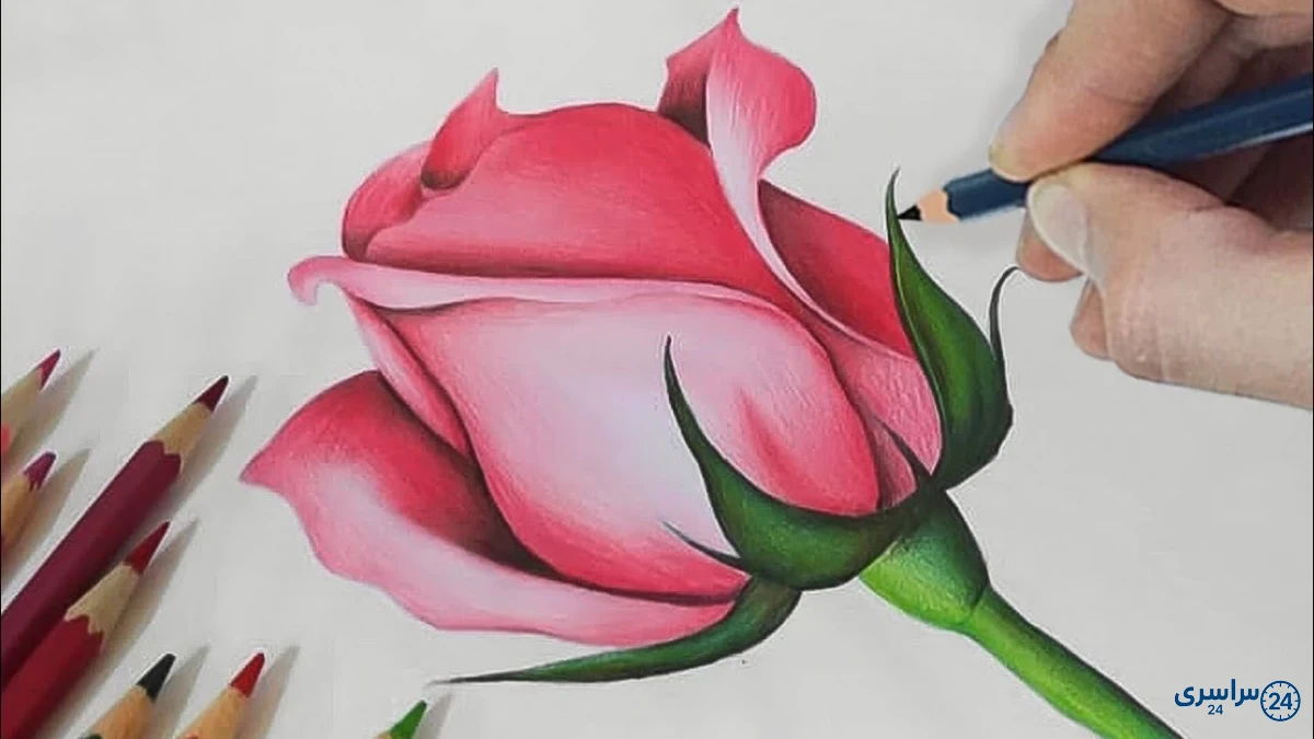 عکس آموزش نقاشی گل