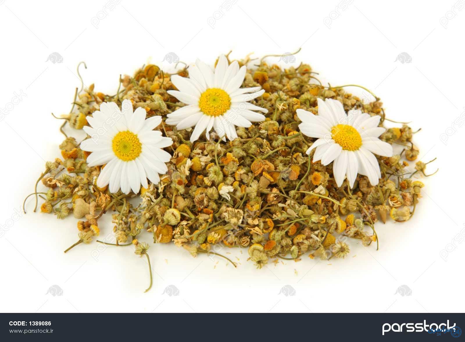 عکس گل بابونه خشک