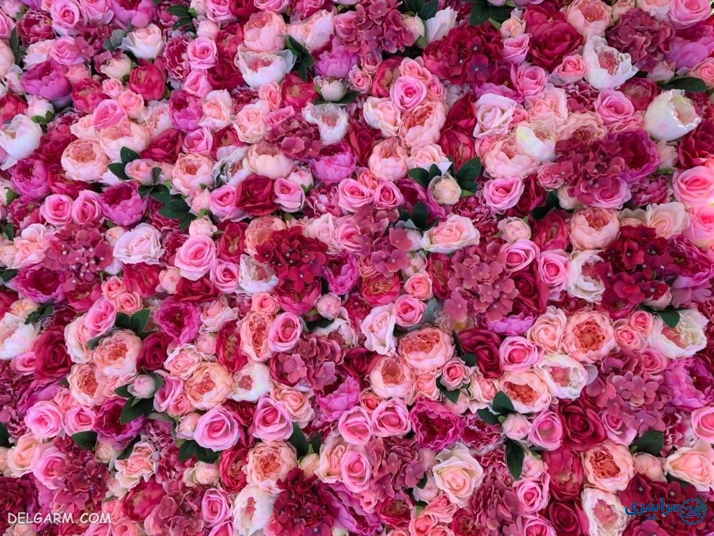 عکس گل برای پروفایل شاد