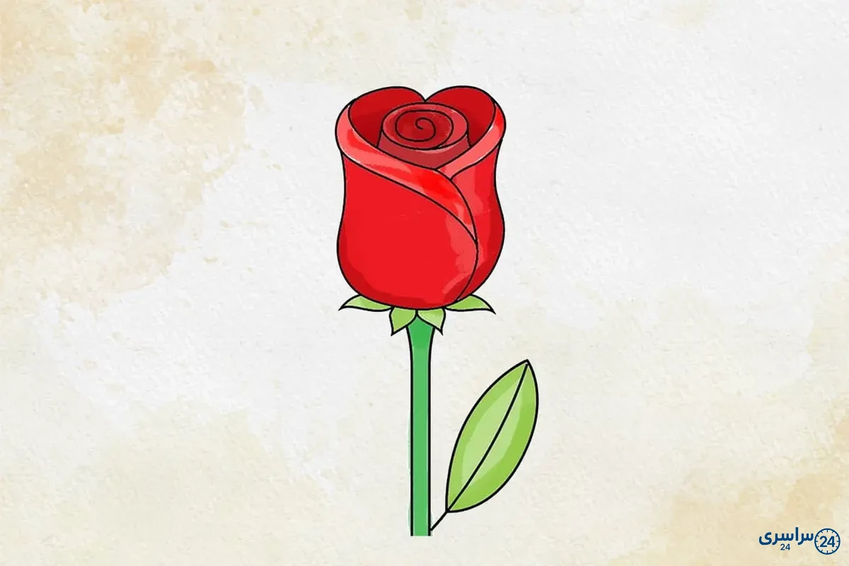 عکس آموزش نقاشی گل رز