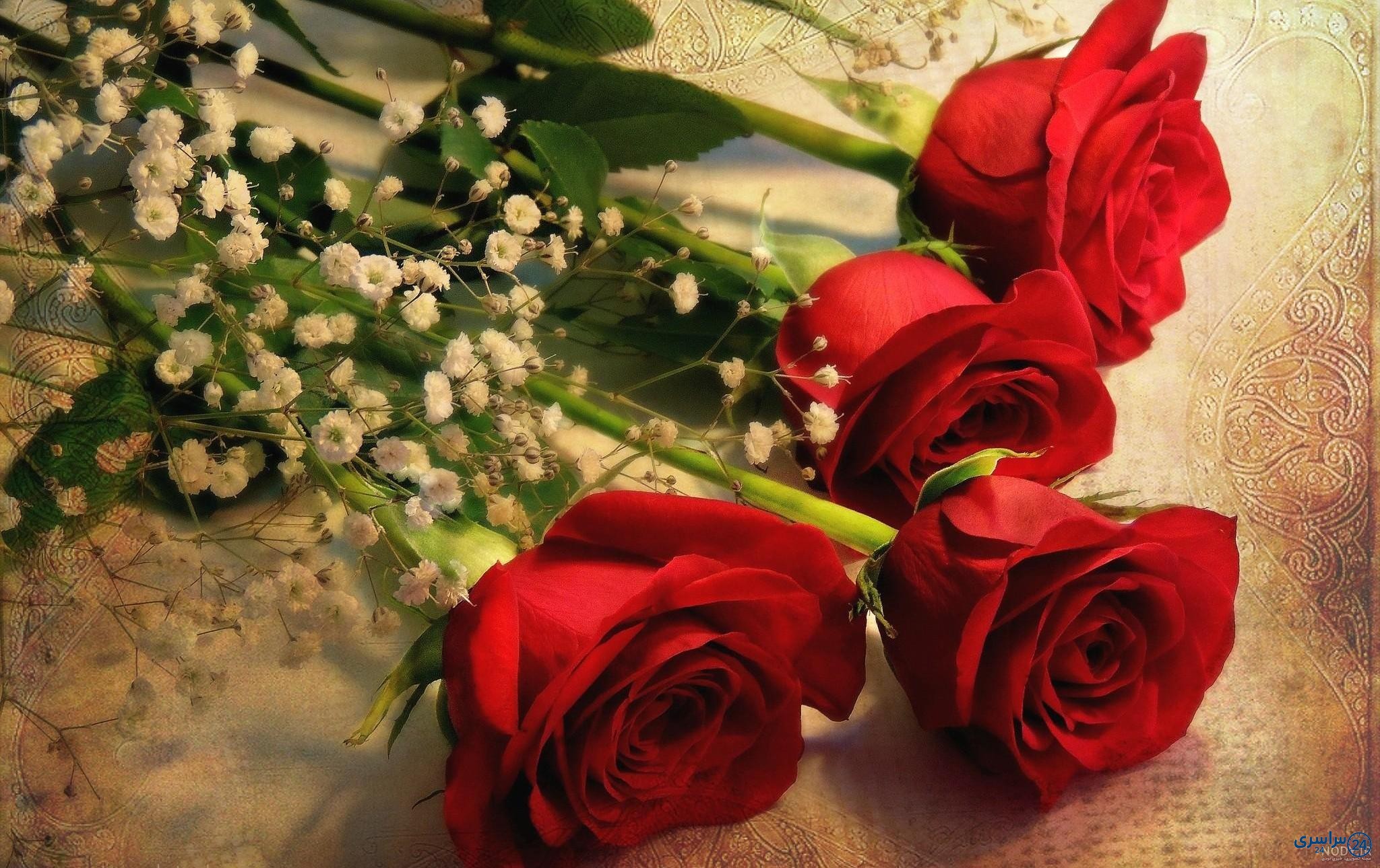 عکس های زیبا از گل