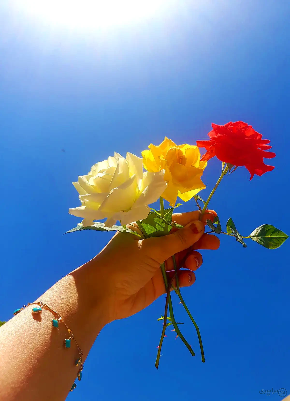 عکس گل برای پروفایل شاد دخترونه جدید