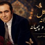آهنگ شمع و گل و پروانه یاران می و پیمانه از ایرج خواجه امیری