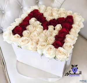 عکس گل با حرف m