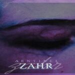 دانلود آهنگ ولی من الان هایده فنم از سنتینل