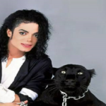 پلی لیست مایکل جکسون | Michael Jackson Best Songs بهترین آهنگ ها