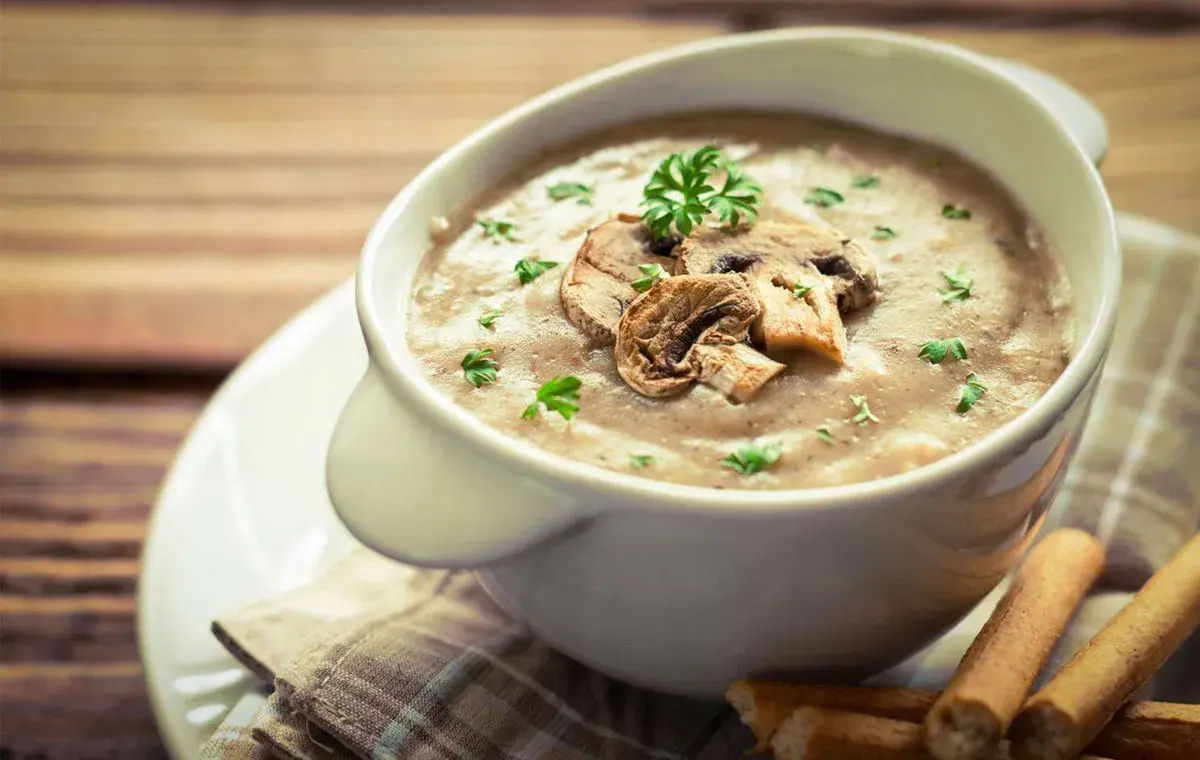 طرز تهیه سوپ شیر و قارچ