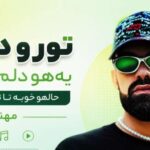 آهنگ تورو دیدم یهو دلم ریخت حالم خوبه تا تو میخندی از مهنیار | ریمیکس حبیبی