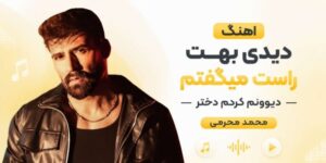 آهنگ دیدی بهت راست میگفتم دیوونم کردی دختر از محمد محرمی | دانلود با بهترین کیفیت