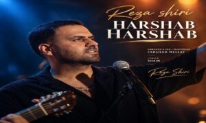 دانلود آهنگ هرشب هرشب رضا شیری با لینک مستقیم